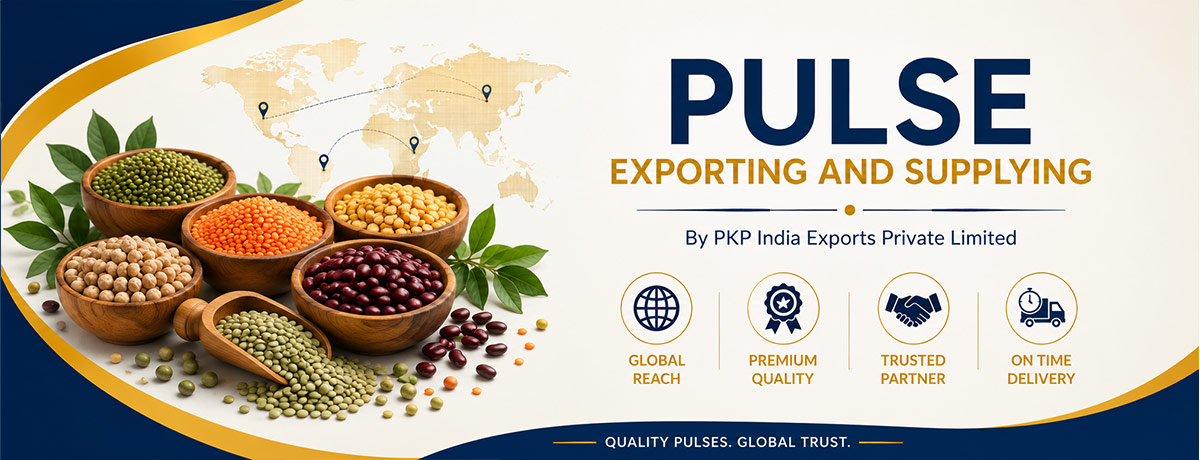 PKP INDIA EXPORTS PRIVATE LIMITED